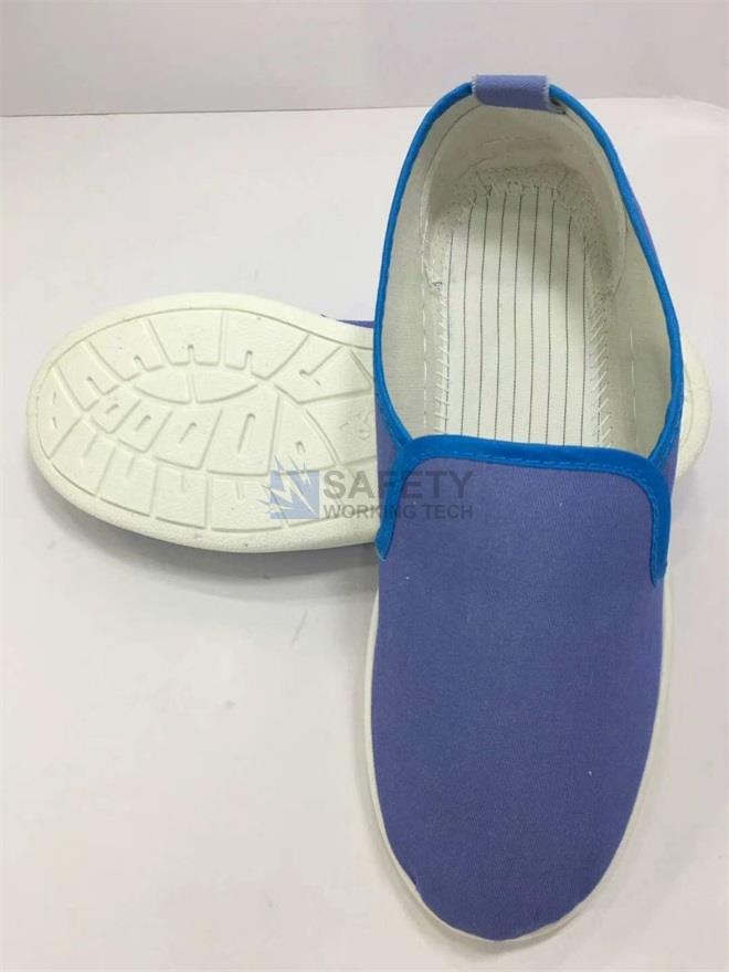 esd canvas shoes blue.JPG